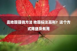 卖地图赚钱方法 地图标注赢利？这个方式简捷及有用