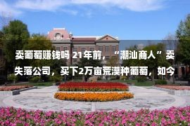 卖葡萄赚钱吗 21年前，“潮汕商人”卖失落公司，买下2万亩荒漠种葡萄，如今何如